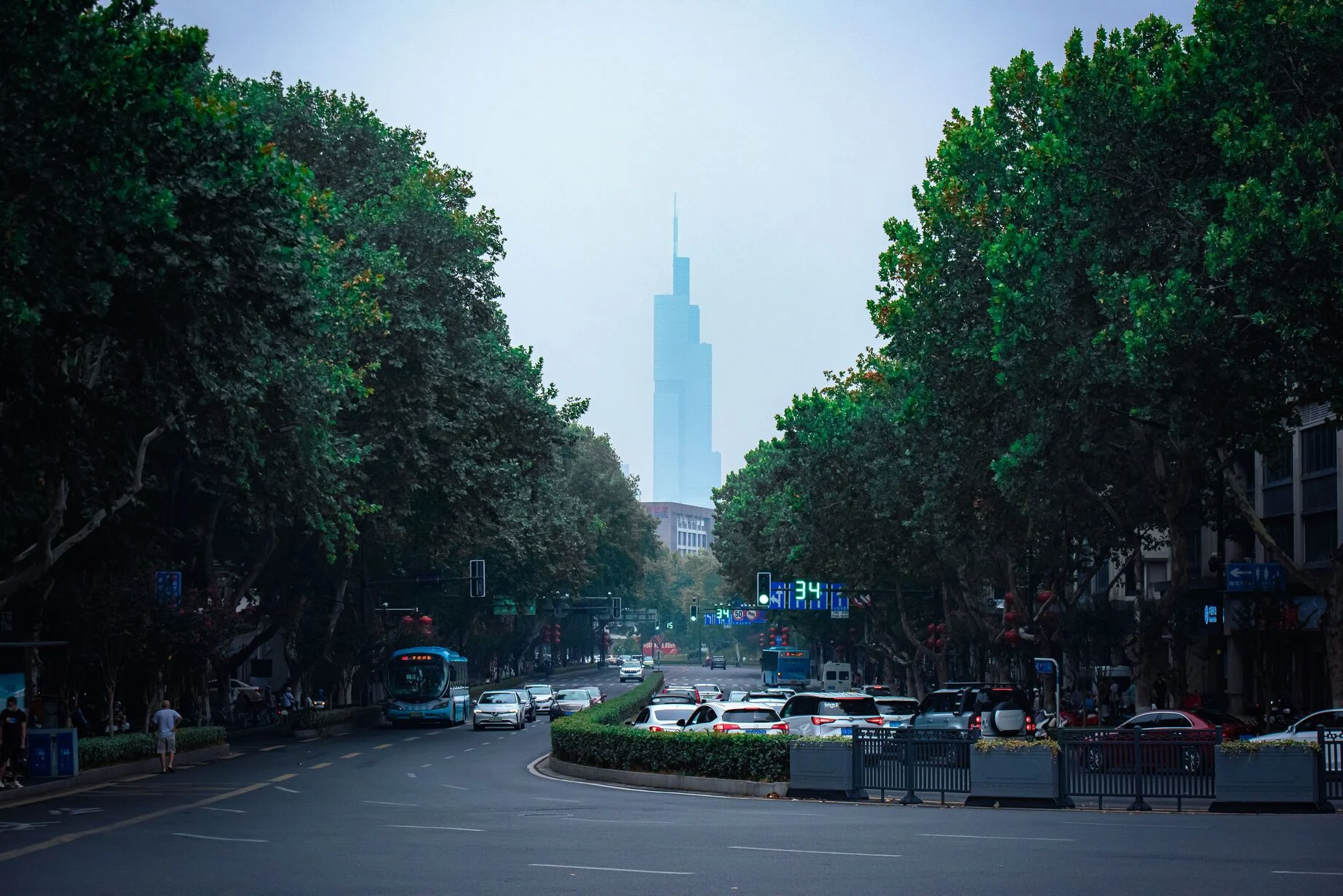 Jalan berpohon dan Menara Zifeng, Nanjing